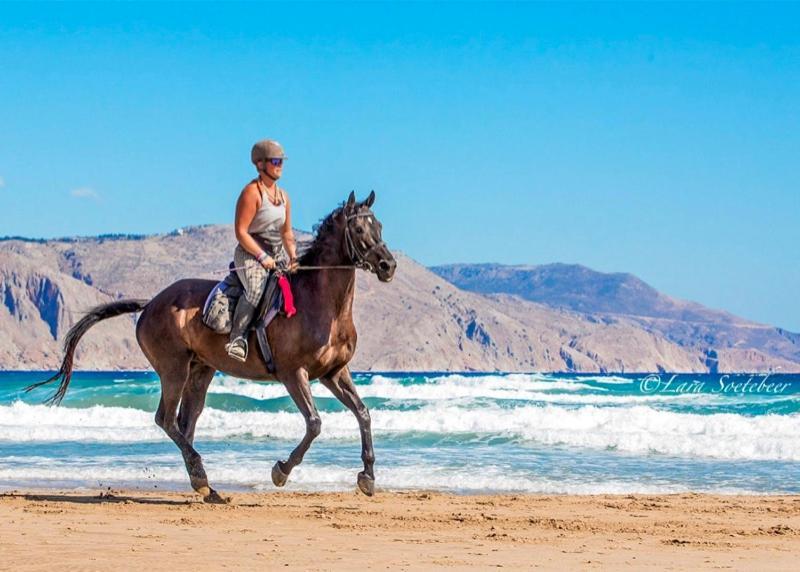 Отель Rethymno Mare & Water Park Скалета